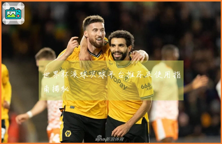 世界杯滚球买球平台推荐及使用指南揭秘