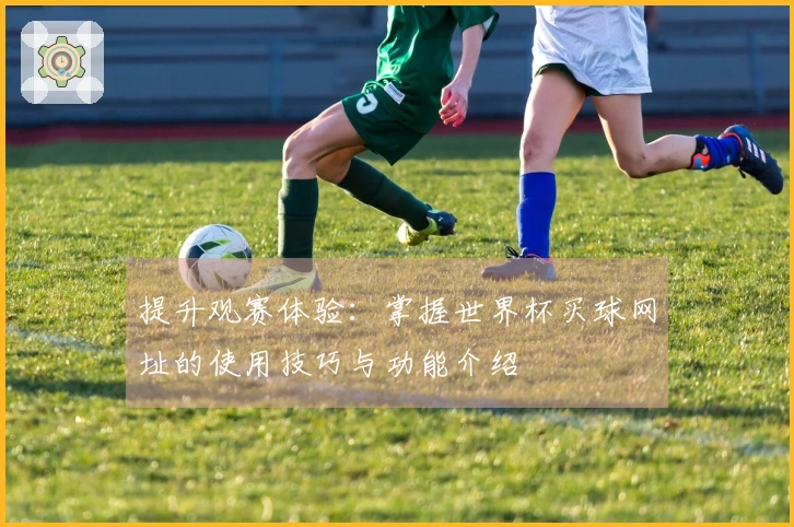 提升观赛体验：掌握世界杯买球网址的使用技巧与功能介绍