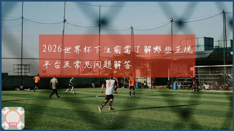 2026世界杯下注前需了解哪些正规平台及常见问题解答