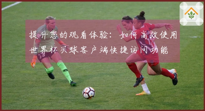 提升您的观看体验：如何高效使用世界杯买球客户端快捷访问功能