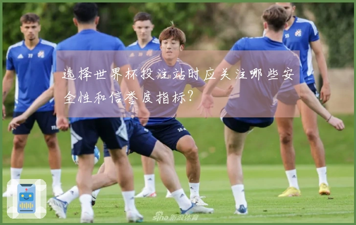 选择世界杯投注站时应关注哪些安全性和信誉度指标？