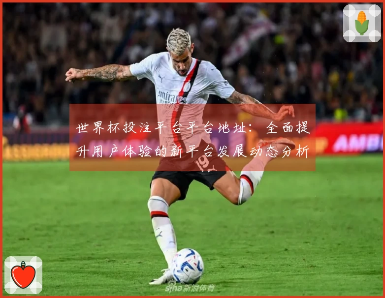 世界杯投注平台平台地址：全面提升用户体验的新平台发展动态分析