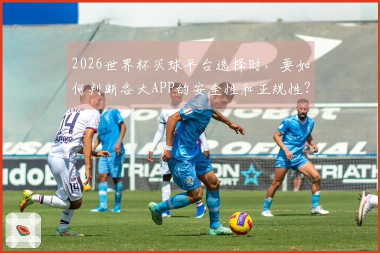 2026世界杯买球平台选择时，要如何判断各大APP的安全性和正规性？