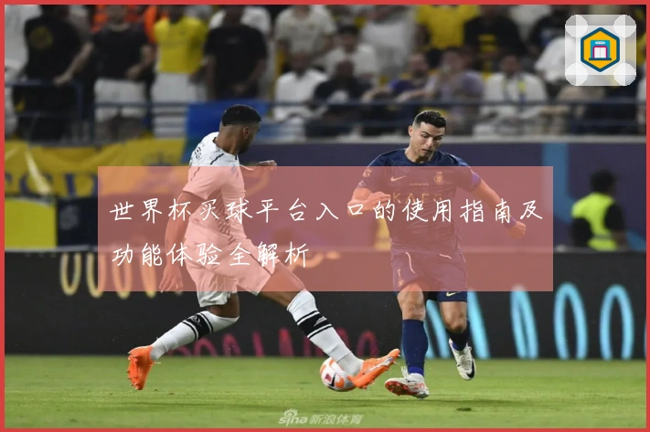 世界杯买球平台入口的使用指南及功能体验全解析