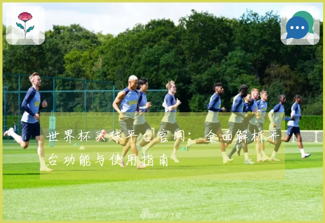 世界杯买球平台官网：全面解析平台功能与使用指南