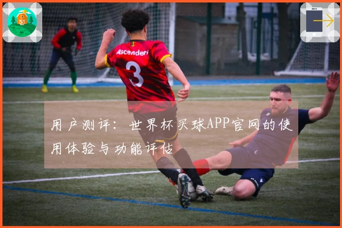 用户测评：世界杯买球APP官网的使用体验与功能评估