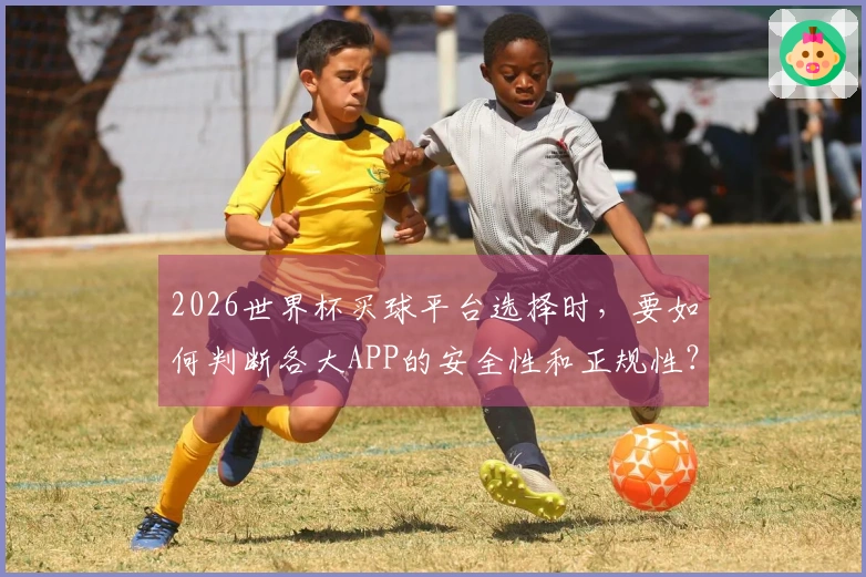 2026世界杯买球平台选择时,要如何判断各大APP的安全性和正规性?