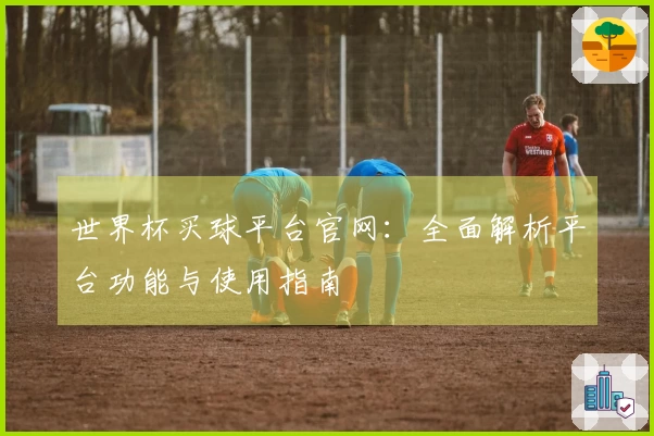 世界杯买球平台官网：全面解析平台功能与使用指南
