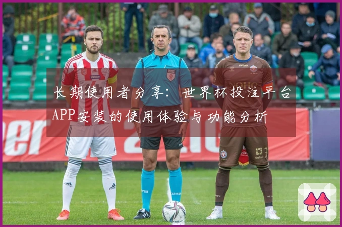 长期使用者分享：世界杯投注平台APP安装的使用体验与功能分析