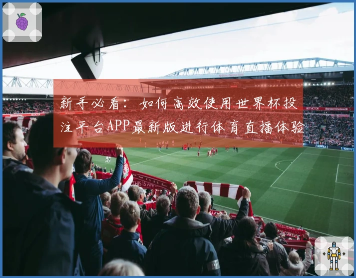 新手必看：如何高效使用世界杯投注平台APP最新版进行体育直播体验