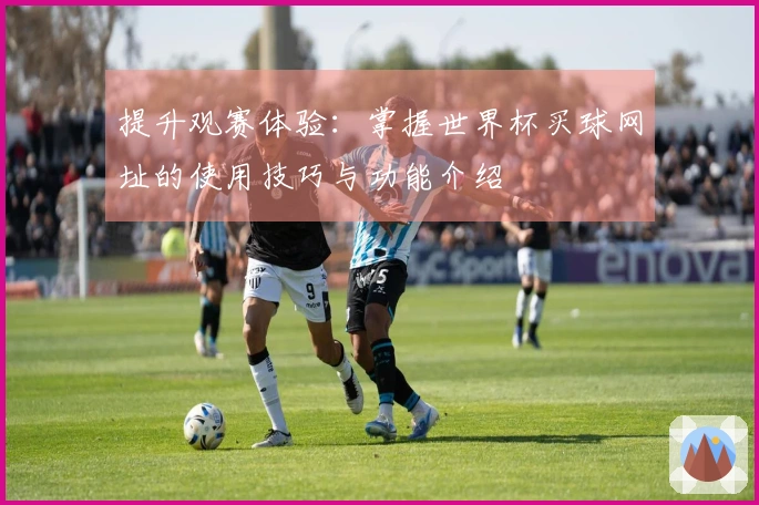 提升观赛体验：掌握世界杯买球网址的使用技巧与功能介绍