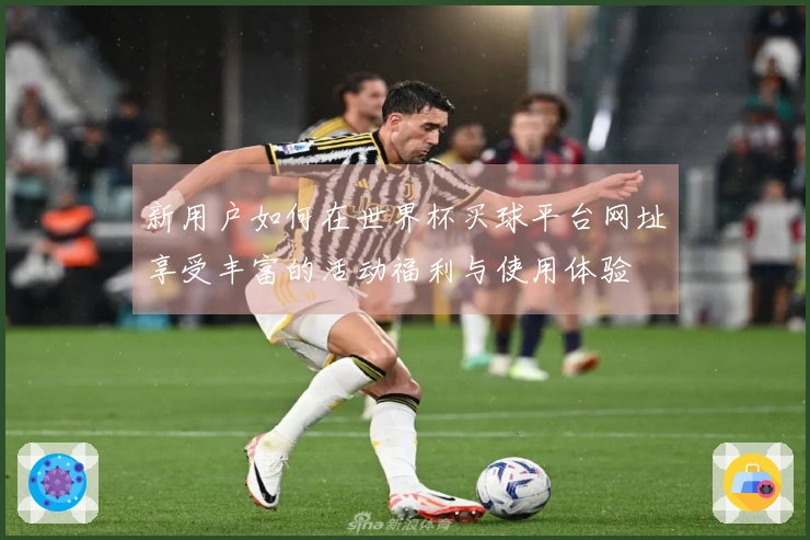 新用户如何在世界杯买球平台网址享受丰富的活动福利与使用体验