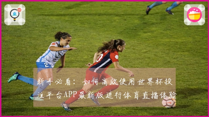 新手必看：如何高效使用世界杯投注平台APP最新版进行体育直播体验